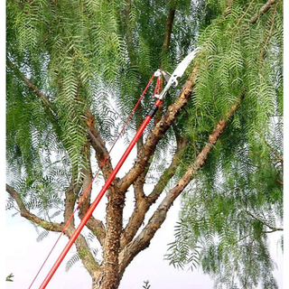 Corona TP 3841 · Dual Compound-Action Tree Pruner - 6-12 Foot