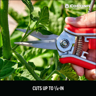 Corona FS43624 · Mini Floral Snips