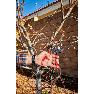 Corona BP 3640  ErgoACTION Bypass Pruner - 3/4 Inch