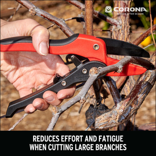 Corona-RP 3230 · Ratchet Pruner - 3/4 Inch