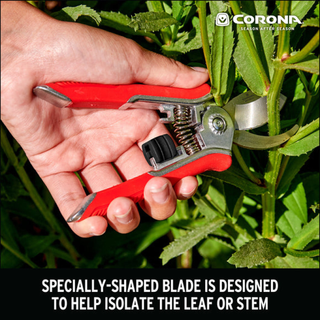 Corona BP13623  Mini House Plant Pruner- RED only