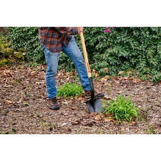 Corona SS 60000 Closed-Back, Round Point Shovel, 14-Gauge, 12 in. Head, 48 in. Wood Handle