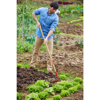 Corona-SH 20000 · Garden Hoe - 6 Inch