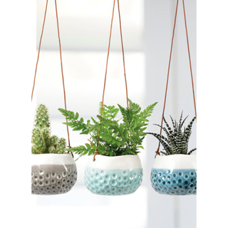 Corona GIG/HDOTTRIO Burgon & Ball® Hanging Baby Dotty Trio Vases