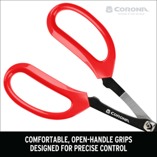 Corona FS14530  Precision Scissors