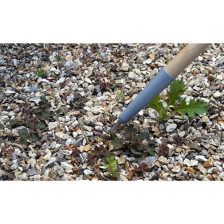 Corona GTC/SLICE Burgon & Ball® FSC Wood Weed Slice