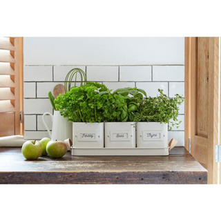 CORONA-GEN/HERBSTONE · Burgon & Ball® Herb Pots Leather Handled Tray-Stone