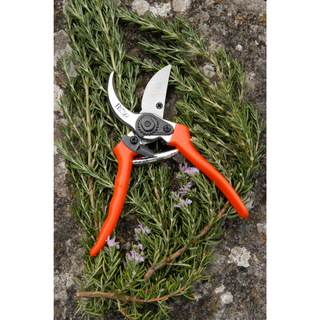 Corona GTO/SC Bypass Pruner, with Replacement Blade & Spring, RHS Endorsed