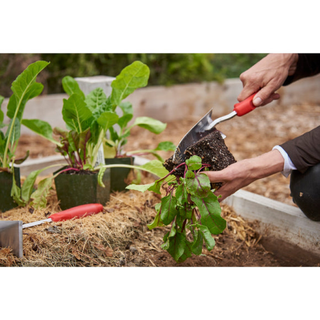 Corona CT 3324 ComfortGEL® Transplanter Premium StainlessSTEEL