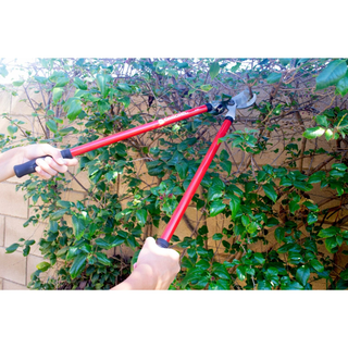Corona SL 3310 Bypass Lopper, 25 in., 1-1/2 in. Cut Capacity