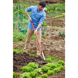 Corona SH 60060 · Garden Hoe - 6 Inch