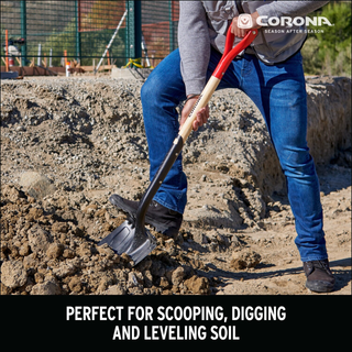Corona SS16101 Boron Steel 14-Gauge Round Point Shovel, D Grip Hardwood Handle