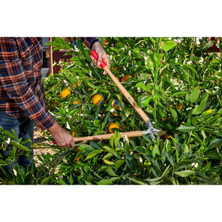 Corona WL 6350 Hickory Handle ClassicCU Bypass Lopper, 26 in., 1-1/2 in. Cut Capacity