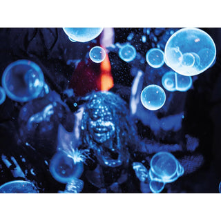 Velleman WSL147 Stroboscope with Two White Leds