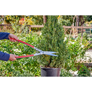 Corona HS15340CC PrecisionCUT Aluminum Hedge Shears 7-1/4 in. blades, 12-3/4 in. handles