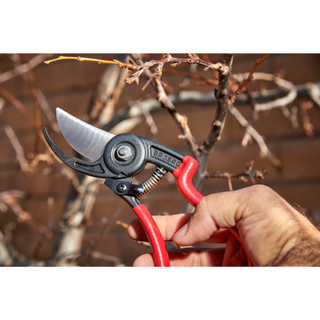 Corona BP 3640  ErgoACTION Bypass Pruner - 3/4 Inch