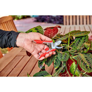 Corona BP13624 · Mini House Plant Pruner