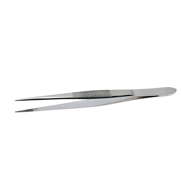 Aven 18436 Straight Serrated Forceps
