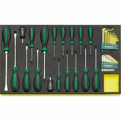 Stahlwille 96831196 Screwdriver set in TCS Inlay