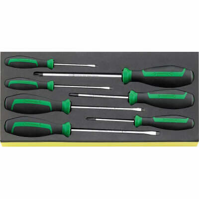 Stahlwille 96838278 TCS 4620/4630 DRALL set of screwdrivers