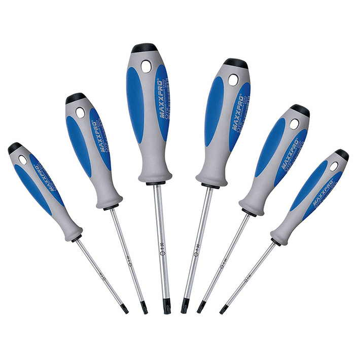 Witte 653831 Maxxpro Slotted and Phillips Screwdriver Set, 6 Piece